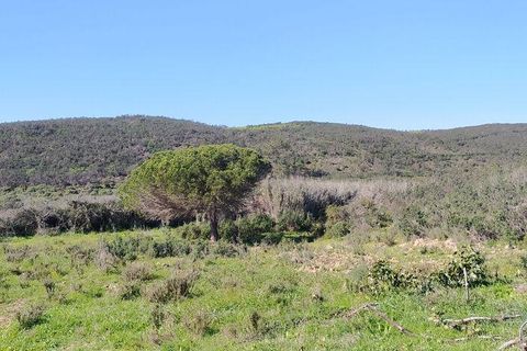 Terra a Sagres, Faro, Sagres - € 190.000 | Ref: 88884 - foto 10