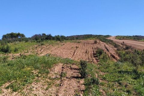 Terra a Sagres, Faro, Sagres - € 190.000 | Ref: 88884 - foto 12