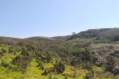 Terra a Sagres, Faro, Sagres - € 190.000 | Ref: 88884 - foto 13