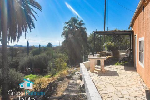 Villa a Pilar De Jaravia, Almeria, Pilar De Jaravia - € 225.000 | Ref: PJPD24LJ - foto 9