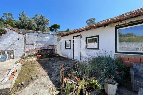 Byhus i Soure, Coimbra, Soure - € 150.000 | Ref: CR0728 - foto 40