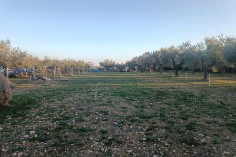 Terra a Treglio, Chieti, Treglio - € 70.000 | Ref: VT0978-1 - foto 2