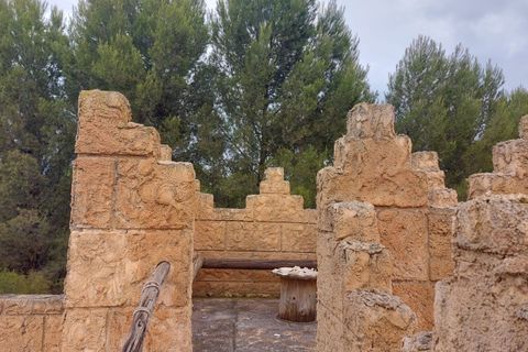 Erhvervsejendom i Freila, Granada, Freila - € 200.000 | Ref: TPG331/12190 - foto 8