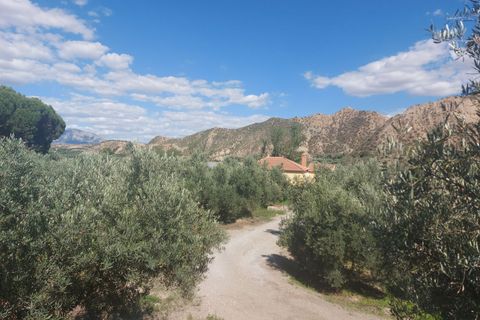 Landejendom i Beas De Guadix, Granada, Beas De Guadix - € 99.000 | Ref: TPG345/12190 - foto 6