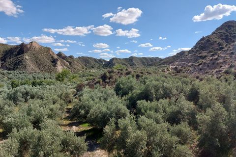 Landejendom i Beas De Guadix, Granada, Beas De Guadix - € 99.000 | Ref: TPG345/12190 - foto 7