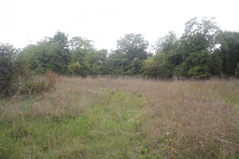 Terra a Chavanges, Aube, Chavanges - € 24.000 | Ref: 422662HCH - foto 2