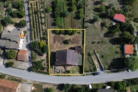 Villa i Pombal, Leiria, Pombal - € 210.000 | Ref: C0381-00815 - foto 4
