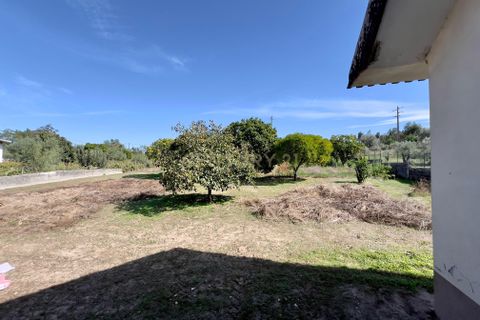Villa i Pombal, Leiria, Pombal - € 210.000 | Ref: C0381-00815 - foto 23