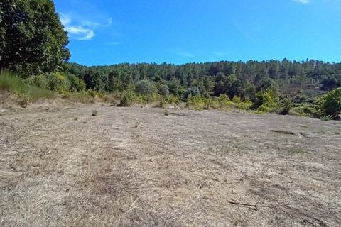 Helårsgrund i Mangualde, Viseu, Mangualde - € 7.500 | Ref: Q27 - foto 2