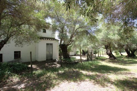Finca a Gaucin, Malaga, Gaucin - € 495.000 | Ref: z615 - foto 3