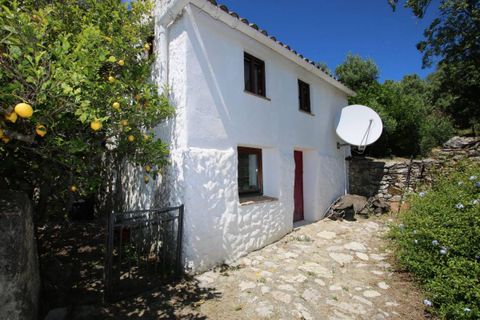 Finca a Gaucin, Malaga, Gaucin - € 495.000 | Ref: z615 - foto 24