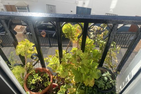 Byhus i Olvera, Cadiz, Olvera - € 72.000 | Ref: am418 - foto 9