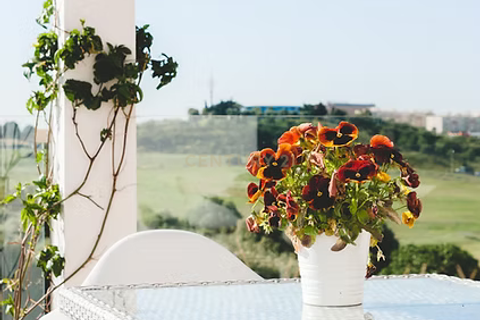 Villa i Oeiras, Lisbon, Oeiras - € 1.390.000 | Ref: C0222-06494 - foto 19