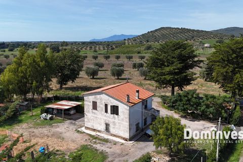 Landejendom i Capalbio, Grosseto, Capalbio - € 1.200.000 | Ref: v-212 - foto 2
