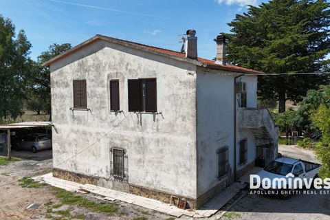 Landejendom i Capalbio, Grosseto, Capalbio - € 1.200.000 | Ref: v-212 - foto 4