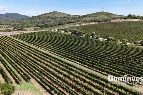 Landejendom i Capalbio, Grosseto, Capalbio - € 1.200.000 | Ref: v-212 - foto 5