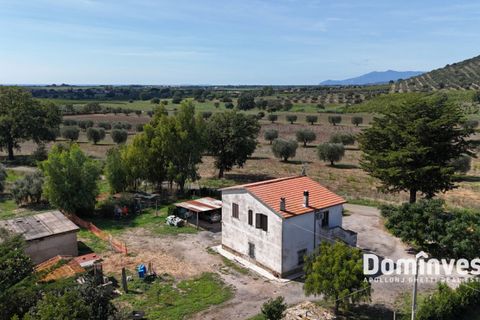 Landejendom i Capalbio, Grosseto, Capalbio - € 1.200.000 | Ref: v-212 - foto 6