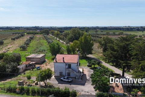 Landejendom i Capalbio, Grosseto, Capalbio - € 1.200.000 | Ref: v-212 - foto 7