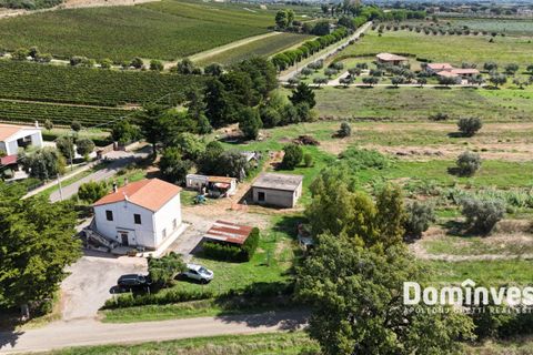 Landejendom i Capalbio, Grosseto, Capalbio - € 1.200.000 | Ref: v-212 - foto 8