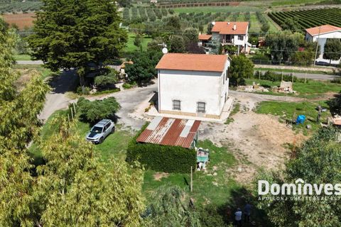 Landejendom i Capalbio, Grosseto, Capalbio - € 1.200.000 | Ref: v-212 - foto 9