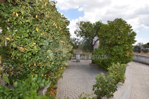 Villa a Specchia, Lecce, Specchia - € 280.000 | Ref: 20CA - foto 17
