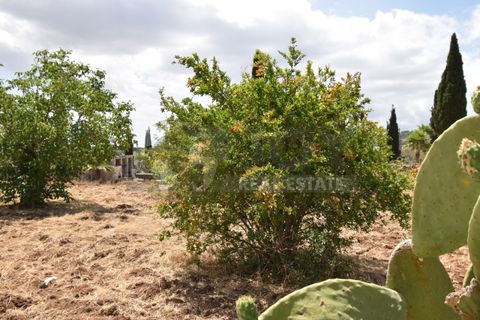 Villa a Specchia, Lecce, Specchia - € 280.000 | Ref: 20CA - foto 24
