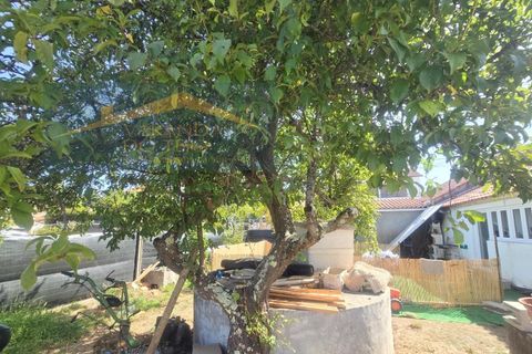 Villa i Tomar, Santarem, Tomar - € 215.000 | Ref: CAS_38 - foto 5