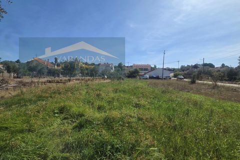 Villa i Tomar, Santarem, Tomar - € 215.000 | Ref: CAS_38 - foto 8