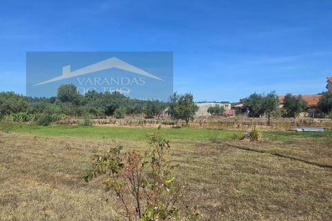 Villa i Tomar, Santarem, Tomar - € 215.000 | Ref: CAS_38 - foto 9