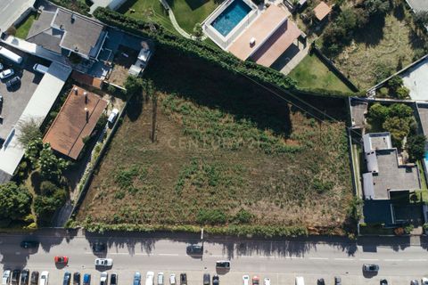 Terra a Arrifana, Aveiro, Arrifana - € 800.000 | Ref: C0406-02392 - foto 2