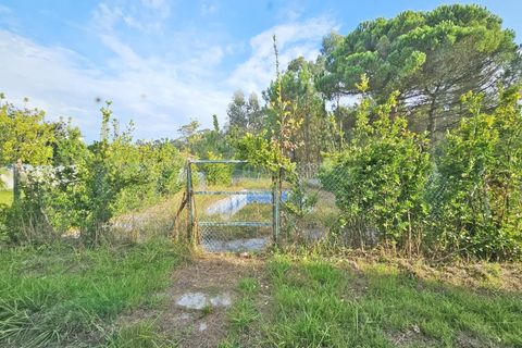 Erhvervsejendom i Vila do Conde, Porto, Vila do Conde - € 2.650.000 | Ref: IBC-1568 - foto 17