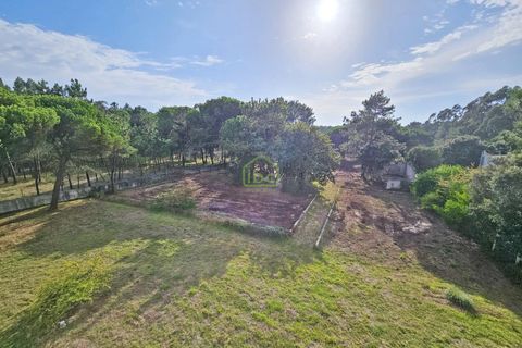 Erhvervsejendom i Vila do Conde, Porto, Vila do Conde - € 2.650.000 | Ref: IBC-1568 - foto 37