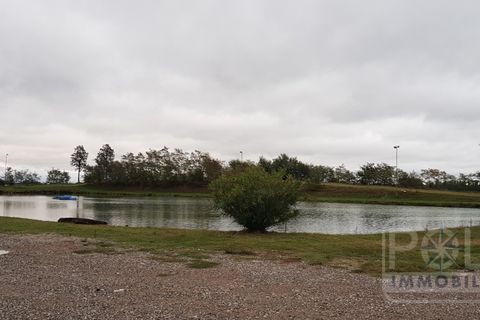 Farm i Budrio, Bologna, Budrio - € 395.000 | Ref: 1558-BO3274 - foto 9