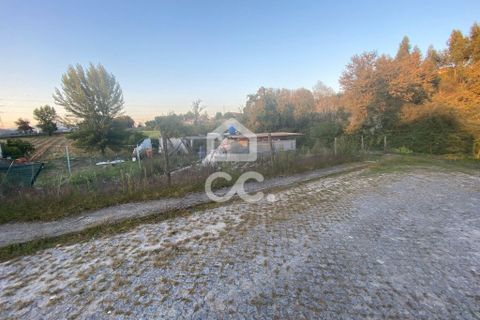 Helårsgrund i Riba de Ave, Braga, Riba de Ave - € 46.500 | Ref: 336/T/01918 - foto 9
