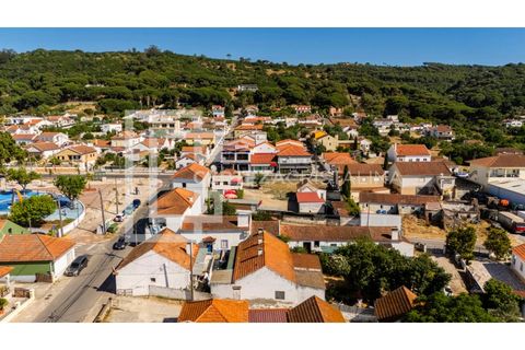 Villa i Quinta do Anjo, Setubal, Quinta do Anjo - € 420.000 | Ref: CAS_202 - foto 5