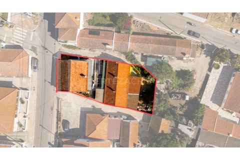 Villa i Quinta do Anjo, Setubal, Quinta do Anjo - € 420.000 | Ref: CAS_202 - foto 6