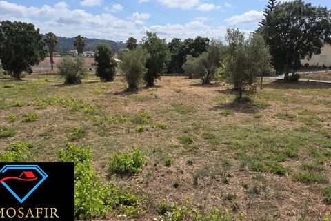 Helårsgrund i Tomar, Santarem, Tomar - € 30.000 | Ref: 00641 - foto 2
