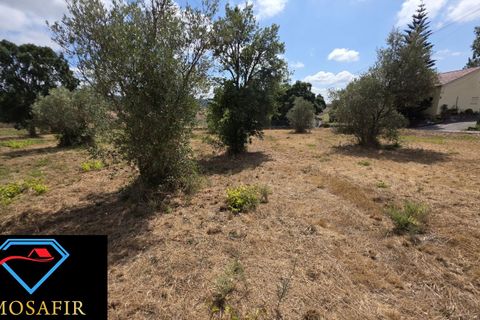 Helårsgrund i Tomar, Santarem, Tomar - € 30.000 | Ref: 00641 - foto 3