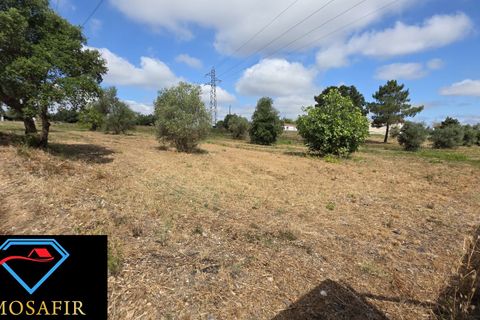 Helårsgrund i Tomar, Santarem, Tomar - € 30.000 | Ref: 00641 - foto 4