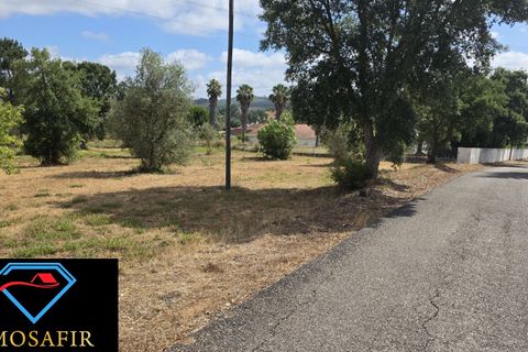 Helårsgrund i Tomar, Santarem, Tomar - € 30.000 | Ref: 00641 - foto 5