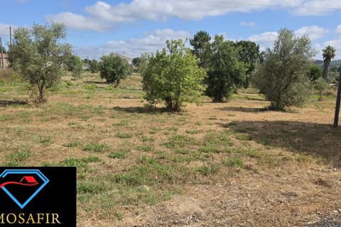 Helårsgrund i Tomar, Santarem, Tomar - € 30.000 | Ref: 00641 - foto 7
