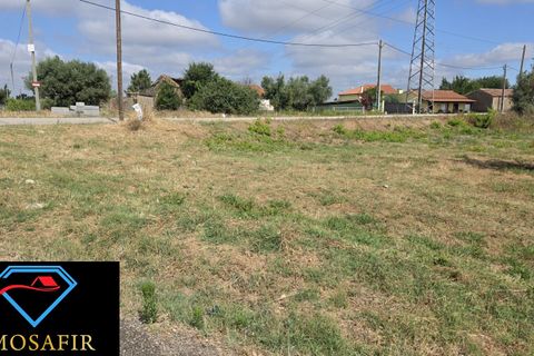 Helårsgrund i Tomar, Santarem, Tomar - € 30.000 | Ref: 00641 - foto 8