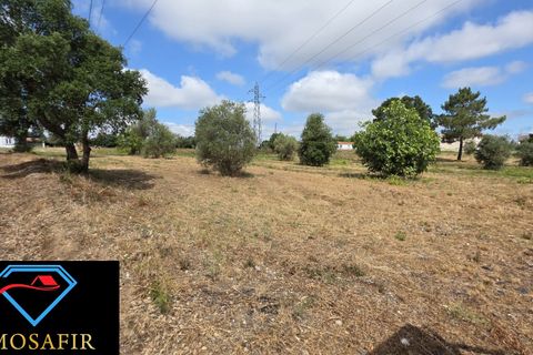 Helårsgrund i Tomar, Santarem, Tomar - € 30.000 | Ref: 00641 - foto 10