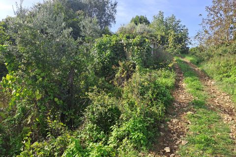 Lejlighed i Collesalvetti, Livorno, Collesalvetti - € 98.000 | Ref: 7633 - foto 18