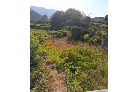 Landejendom i Moncao, Viana do Castelo, Moncao - € 260.000 | Ref: SAFTI:007240 - foto 50