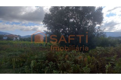 Ruinere i Ponte de Lima, Viana do Castelo, Ponte de Lima - € 75.000 | Ref: SAFTI:007229 - foto 2