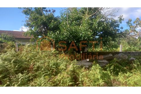 Ruinere i Ponte de Lima, Viana do Castelo, Ponte de Lima - € 75.000 | Ref: SAFTI:007229 - foto 3