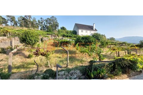 Villa i Viana do Castelo, Viana do Castelo, Viana do Castelo - € 370.000 | Ref: SAFTI:007228 - foto 8