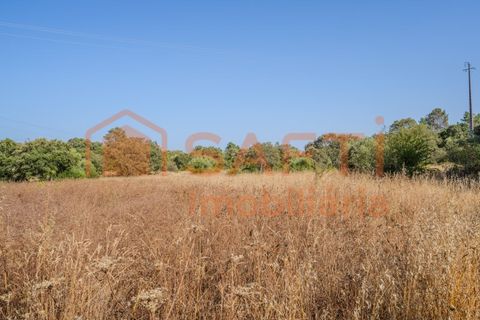 Helårsgrund i Fatima, Santarem, Fatima - € 150.000 | Ref: SAFTI:007221 - foto 1