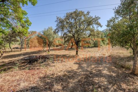 Helårsgrund i Fatima, Santarem, Fatima - € 150.000 | Ref: SAFTI:007221 - foto 5